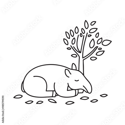 A tapir resting under a tree beside scattered leaves