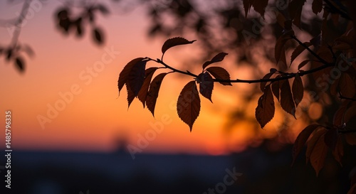 Serene autumn sunset with silhouetted leaves on a branch, showcasing nature's beauty at dusk