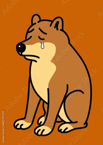 vector illustration of a bear