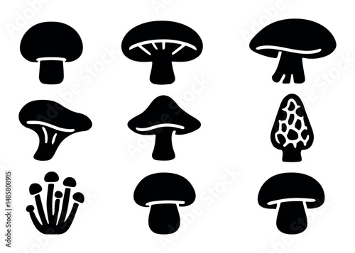 Silhouette illustrations of various mushroom species on white