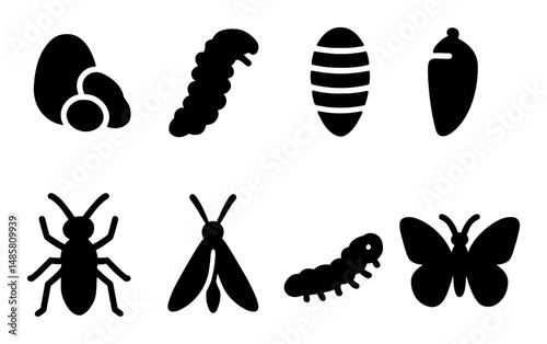 Insect life cycle stages: eggs, larvae, pupae, and adult forms