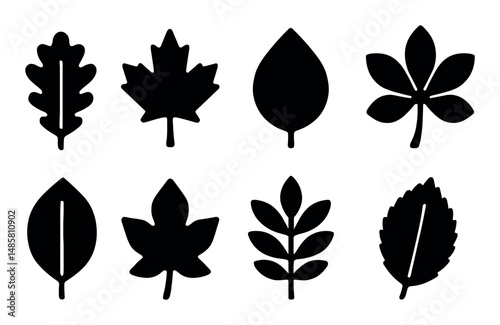 Set of eight black leaf silhouettes on white background