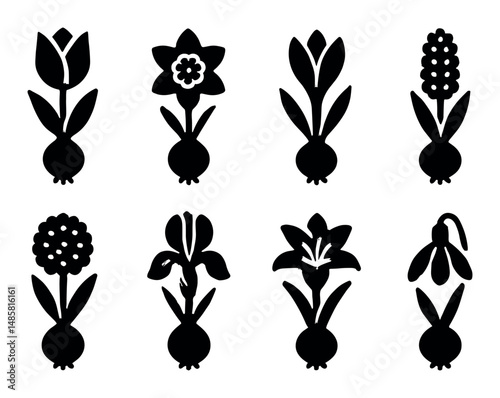Silhouette of various flowers with bulbs on white background