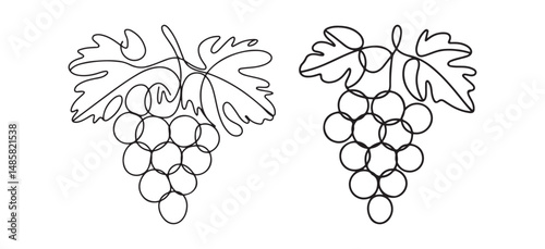 Abstract Grapevine – Simple and Elegant Line Drawing of Grapes