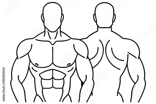 human body anatomy Line art Circulatory Pathway Poster Print