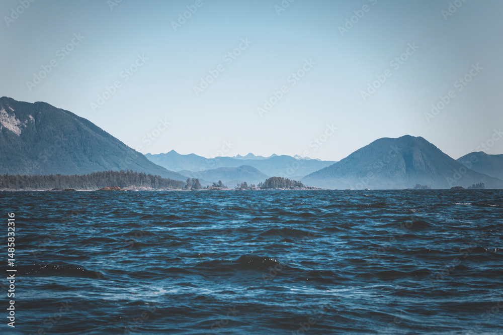 custom made wallpaper toronto digitala wild day in tofino, vancouver island. summer clear day watching for sealife. bald eagles, sea otters, whales, killer whales around. sun is shining, the ocean waves are moving through the islandsc