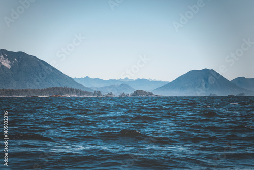 Wallpaper Mural a wild day in tofino, vancouver island. summer clear day watching for sealife. bald eagles, sea otters, whales, killer whales around. sun is shining, the ocean waves are moving through the islandsc Torontodigital.ca