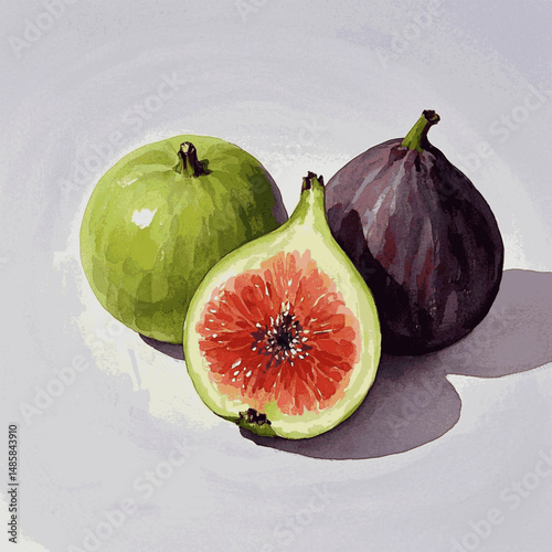 Mauve Mysteries in Wash figs isolated watercolor vector illustration svg