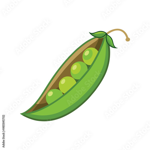 Peas vector illustration. Fresh green peas in pod, healthy organic legume vegetable, farm garden produce, food icon.

