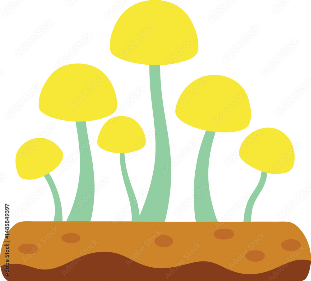 Fototapeta premium vector illustration of mushrooms