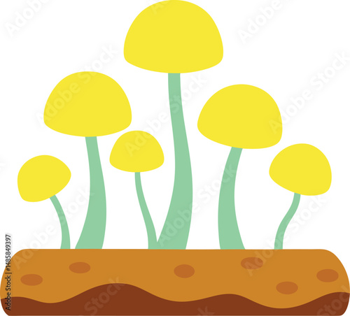 vector illustration of mushrooms