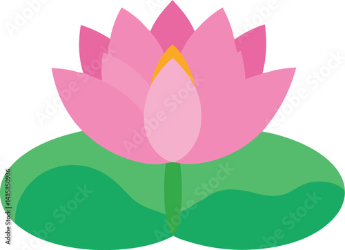 lotus flower vector illustration