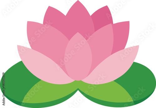 lotus flower vector illustration