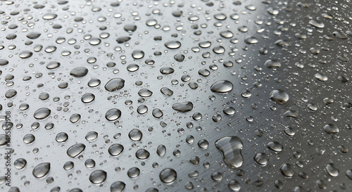 Wallpaper Mural Water Droplets on a Smooth Surface Abstract Macro Photography Torontodigital.ca
