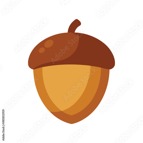 Brown acorn vector illustration. Realistic oak tree nut with cap isolated on white background. Autumn nature element.


