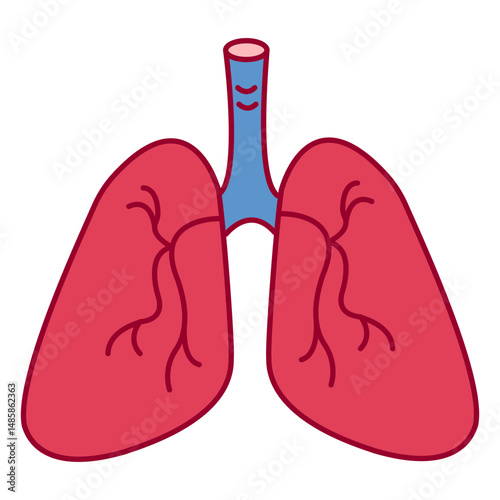 Lungs color stroke