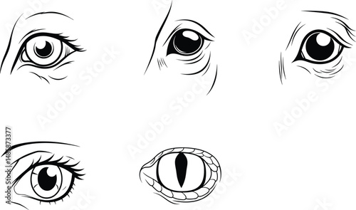 Black and white vector illustration of various animal eyes design elements