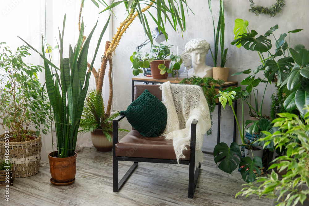 Obraz premium A fragment of the interior with a variety of indoor plants and plaster sculptures. Urban jungle concept. Biophilia design.