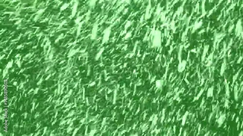 Heavy snow falling on green screen 4K, Falling winter snow overlay,  flakes to down, flying snowfall, Christmas