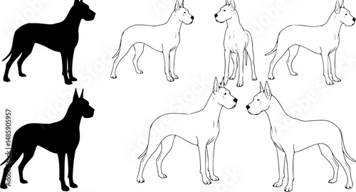 Vector silhouette of veterinary with group of animals on white background. Symbol of farm and vet.
