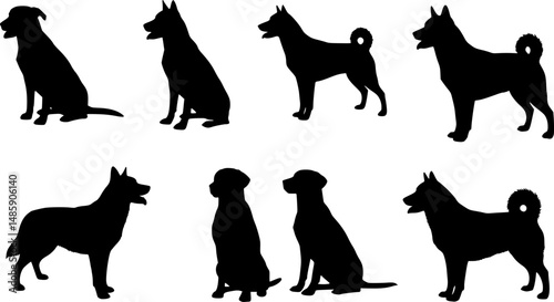 Vector silhouette of veterinary with group of animals on white background. Symbol of farm and vet.
