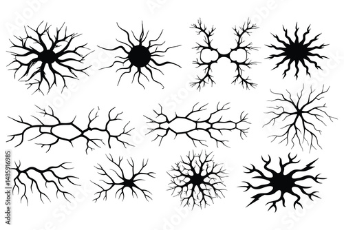 Neuron Silhouette Vector Set – Abstract Brain Cells, Nerve Networks, and Dendrite Illustrations