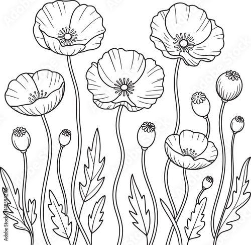 Beautiful blooming poppies line art coloring page
