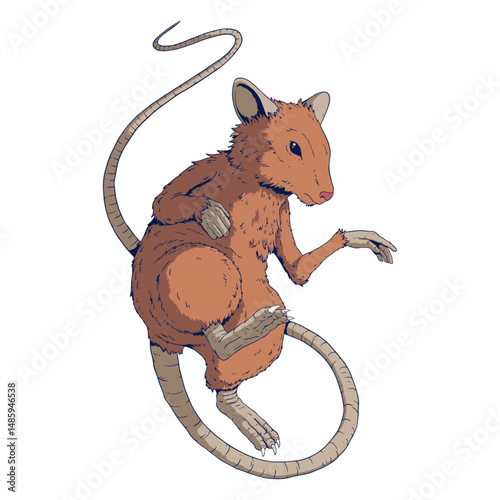 Rat colored chinese zodiac