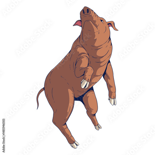 Pig colored chinese zodiac