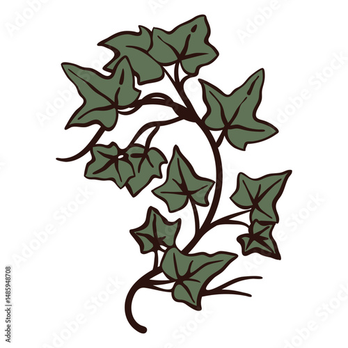 Ivy color stroke solstice