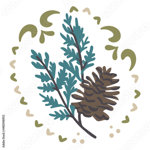 Solstice flat pine cone and herbs colorful