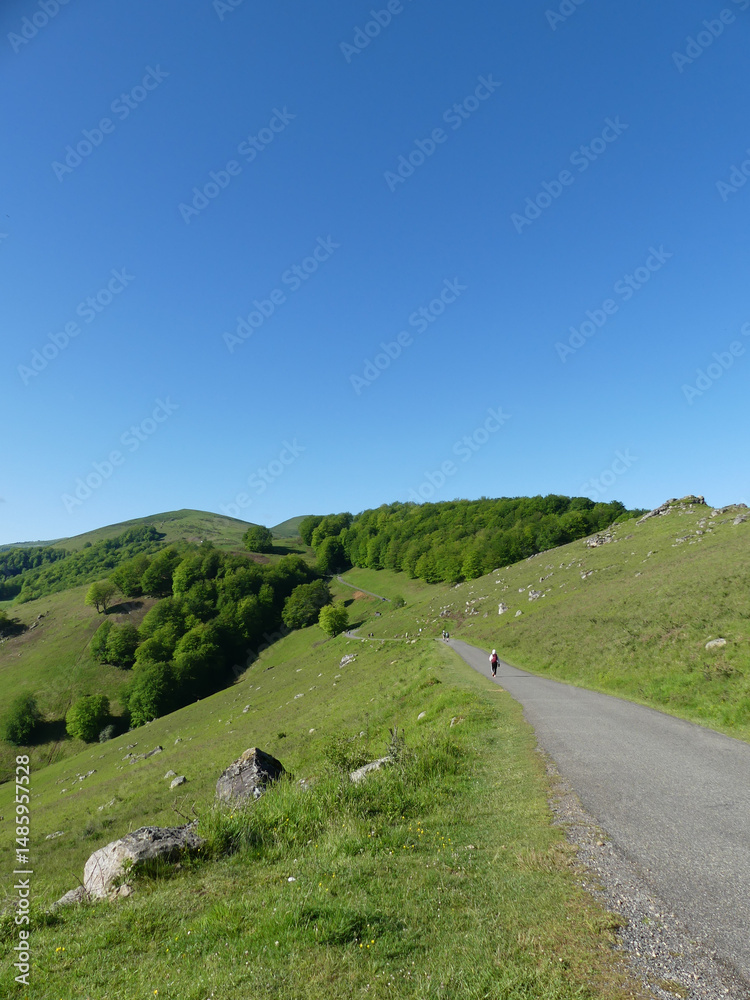 Fototapeta premium Etape 1 - Saint Jean Pied de Port à Roncevaux - Route Napoléon - Pyrénées - Camino Frances