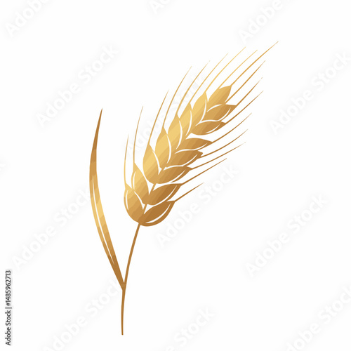 Golden wheat ear illustration, isolated on a white background in the lower right corner