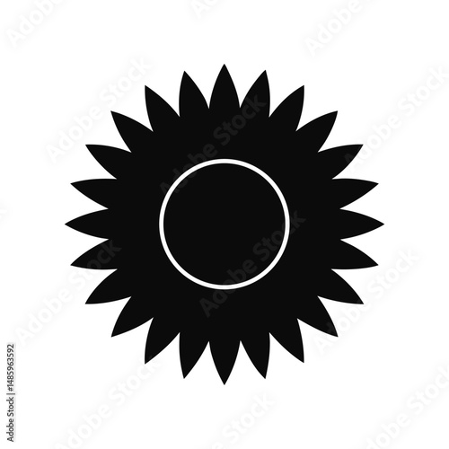 sun flower vector 
