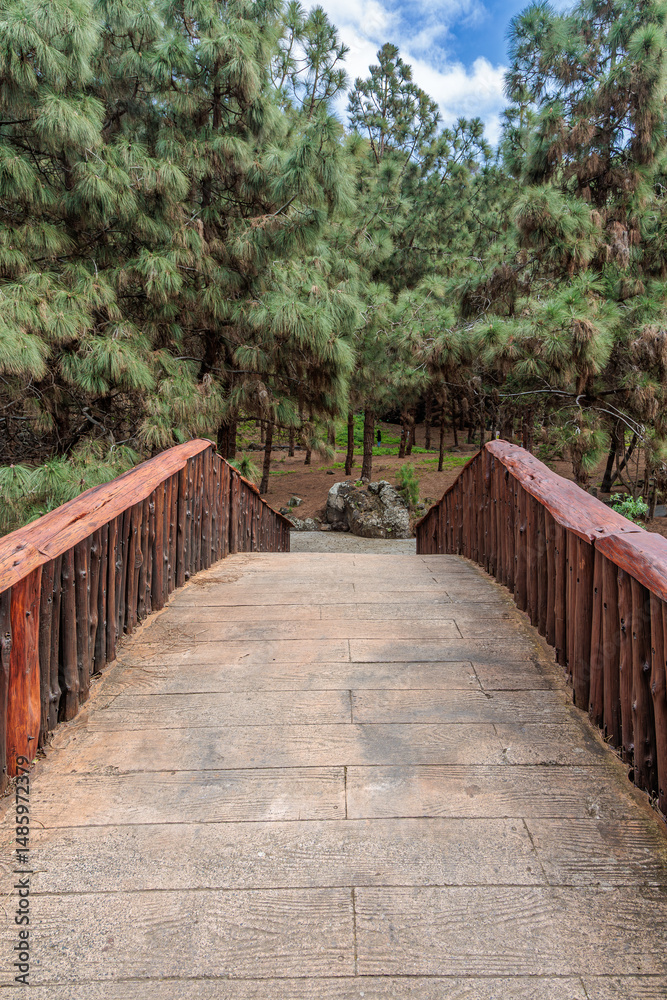Obraz premium Botanical garden Jardin Botanico Viera y Clavijo, Gran Canaria, Canary Islands