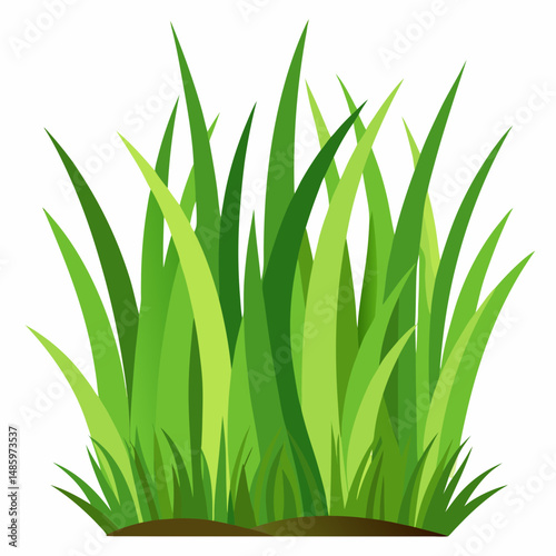 Vibrant Green Grass Blades Illustration for Nature Designs