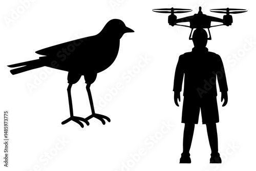 Bird versus drone comparison black silhouette design on white background, bird, drone, silhouette, comparison, mistaken, technology, wildlife, nature, aviation, unmanned, ornithology, hobby, vector, d