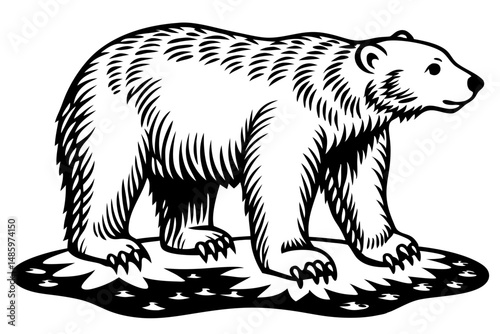 Polar bear silhouette on cracked ice side view white background, polar bear, ice, silhouette, cracks, animal, arctic, winter, side view, white background, wildlife, endangered, mammal, vector