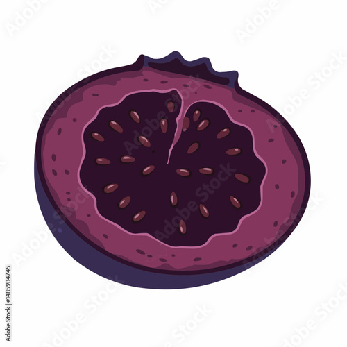 Slice of dark, juicy fruit shows the seeds inside with varied purple shades