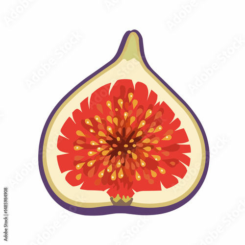 A vibrant illustration of a halved fig, with red insides and purple skin