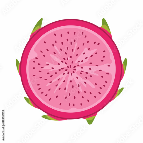 Vibrant dragon fruit slice with pink flesh and dark seeds. Green spikes on the pink skin