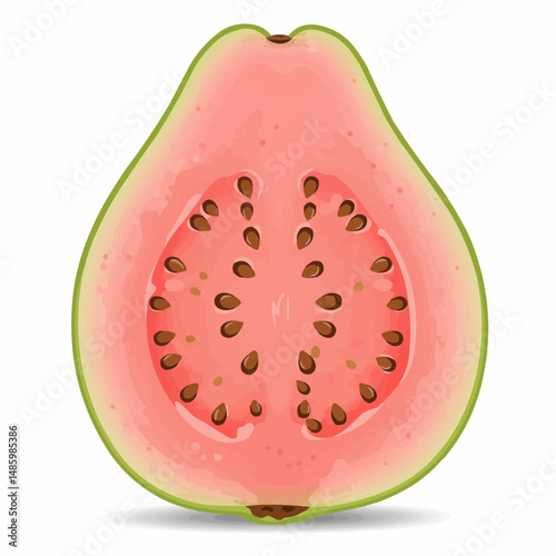 Half slice of a pink fruit reveals its texture and seed detail on a white background