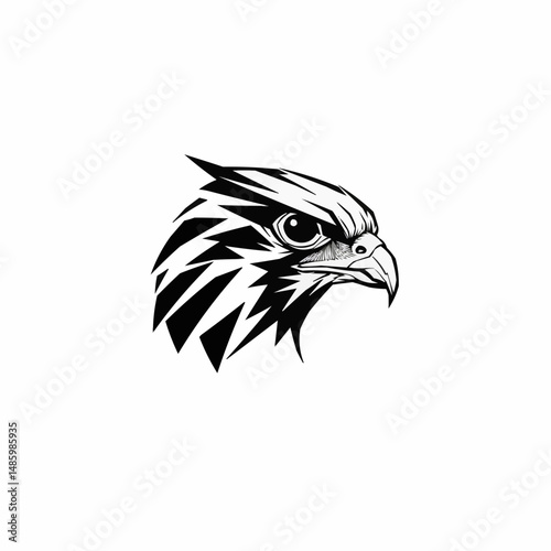 Black-and-white fierce falcon with its intense gaze against a pure white canvas
