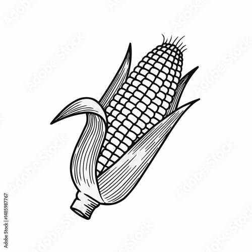 Illustration of a corn cob with leaves, black and white design, clean vector graphics