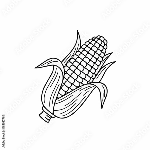 Illustration of an ear of corn, shown with the husks, in a black and white drawing