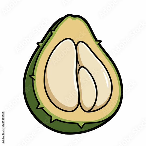 Close-up view of cartoon coconut cut in half
