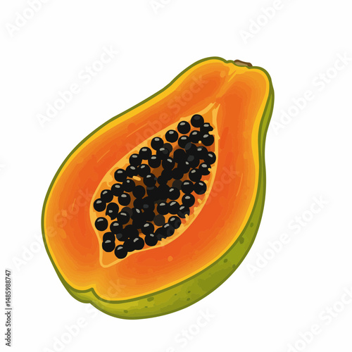 Close-up vector illustration of a halved papaya with black seeds on a white background