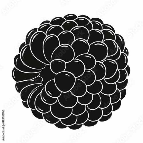 Black and white graphic featuring a textured, organic pattern with tightly clustered bulbous forms