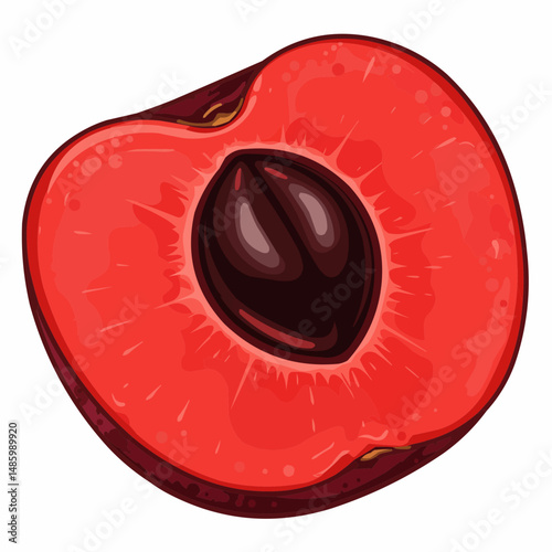 A sliced fruit vector design. Rich red hues, seed, and flesh are detailed