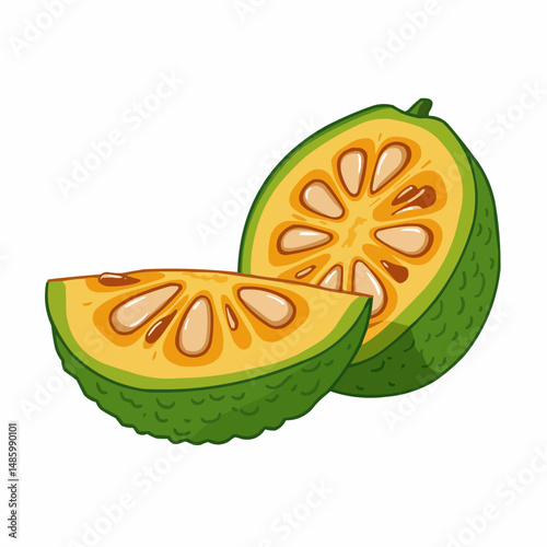 Half of a citrus fruit, showing the inner structure and seeds, in a cartoon-like illustration